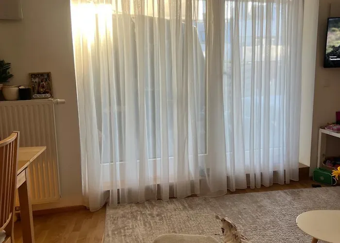 Cozy Near Eurovision Song Contest *