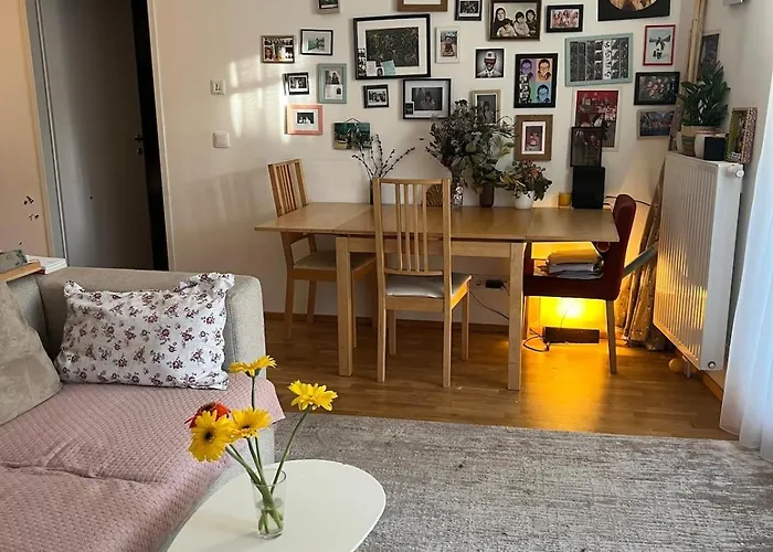 Cozy Near Eurovision Song Contest