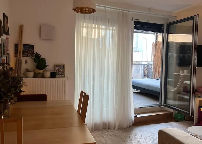 Cozy Near Eurovision Song Contest